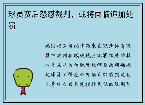 球员赛后怒怼裁判，或将面临追加处罚